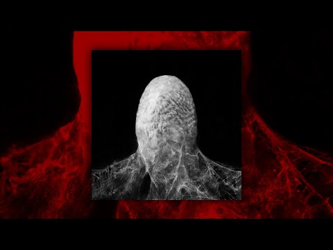 Video thumbnail for Кокон (Cocoon)