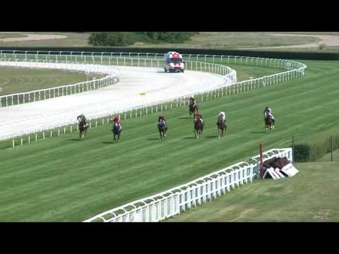 2017.07.30. 2. futam - NYERETLEN KÉTÉVESEK VERSENYE (IV.kat.)