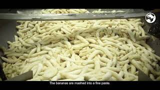 Inspiring Story: Banana, an origin of exception for a maximum quality