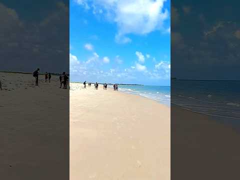 Conheça a Praia de Mamucabinhas em Barreiros PE