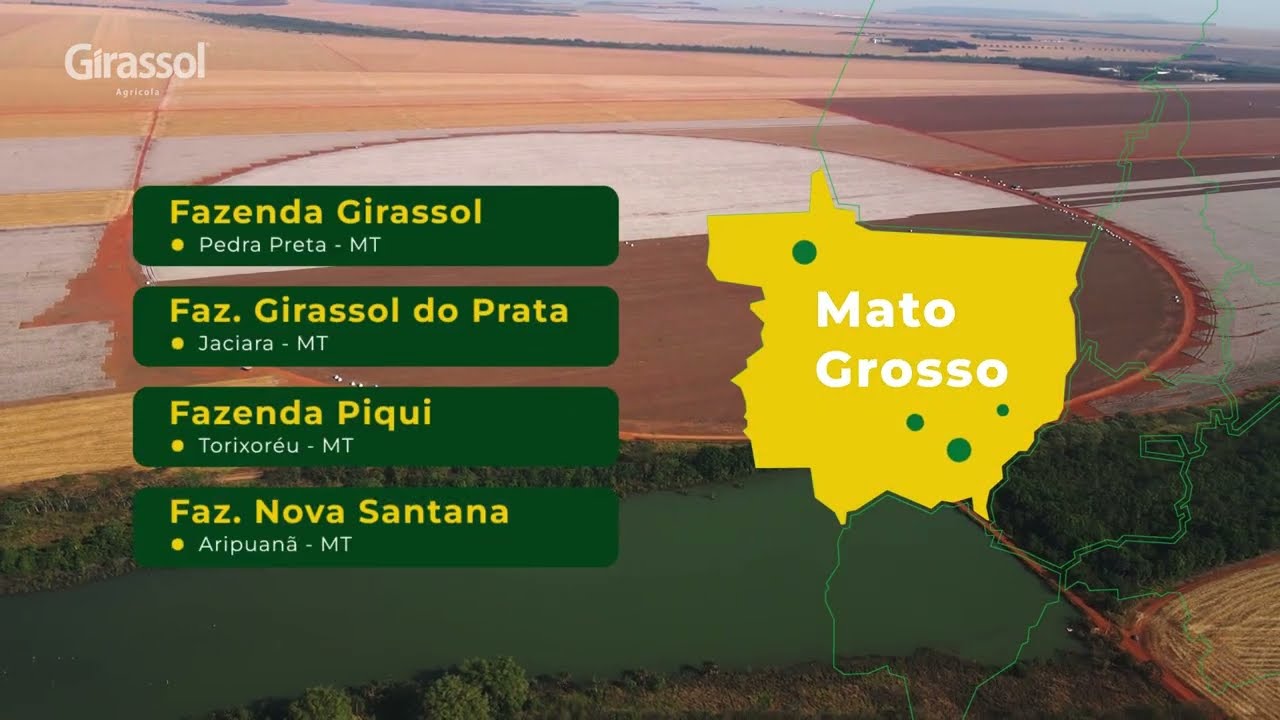 Filme Girassol Silvicultura