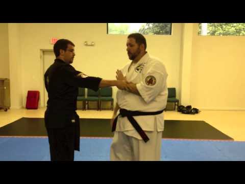 Bunkai for Basic Karate "Blocks"