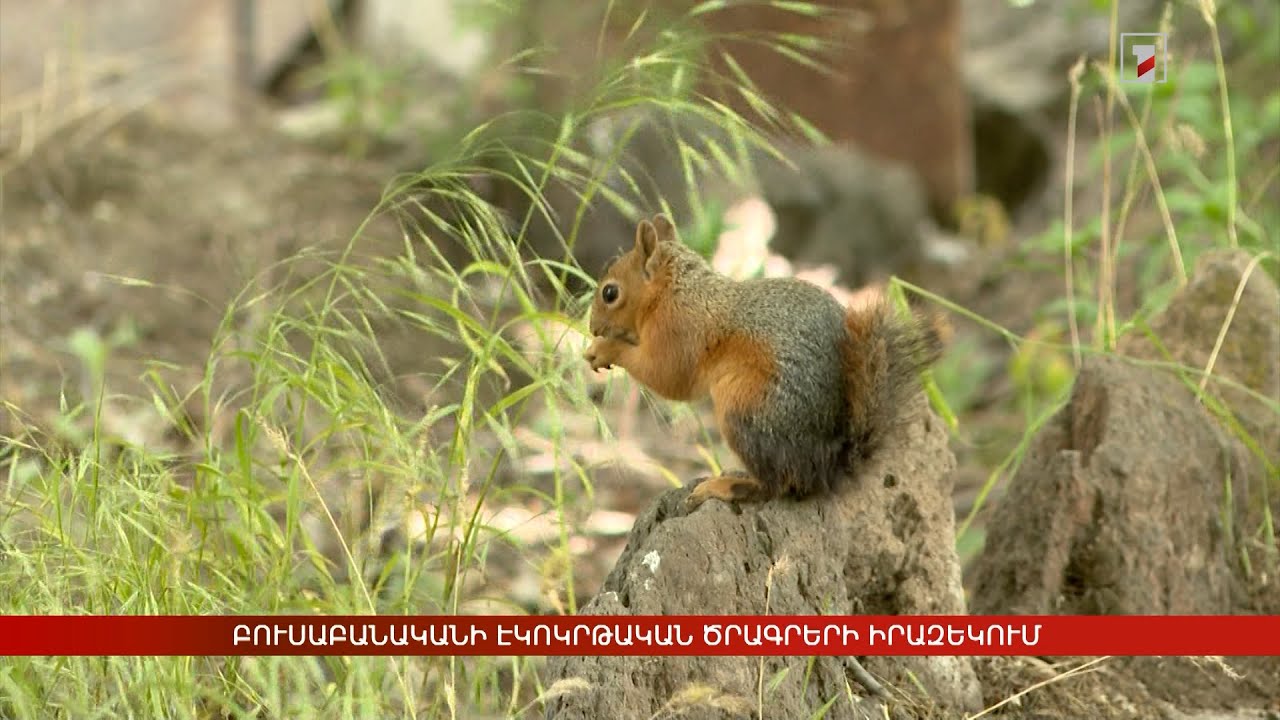 Բուսաբանականի էկոկրթական ծրագրերի իրազեկում