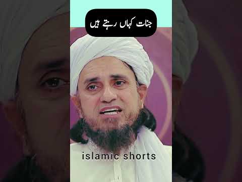 Where do jinnats live? Mufti Tariq Masood #islmicshorts