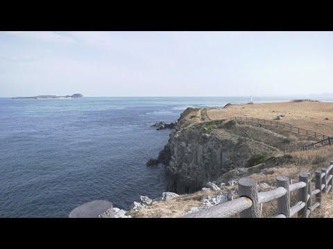 【佐賀県唐津市の風景：4K映像】杉の原放牧場 [呼子町加部島]（令和3年1月28日撮影）