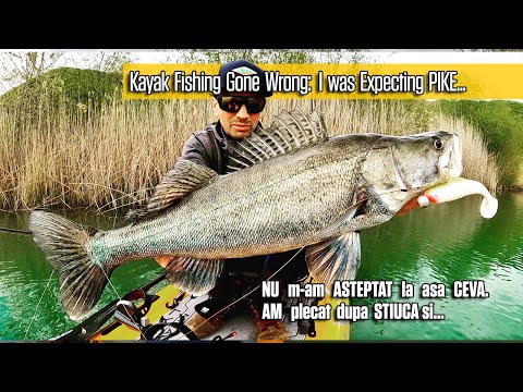 A mers PROST din CAIAC!? Ma ASTEPTAM la STIUCA, dar s-a intamplat sa....