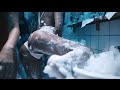 SXTN Deine Mutter Official Video