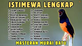 Download lagu 🔴 MASTERAN PANJANG‼️ FULL ISIAN MURAI BATU GACOR mp3 Download lagu 🔴 MASTERAN PANJANG‼️ FULL ISIAN MURAI BATU GACOR mp3