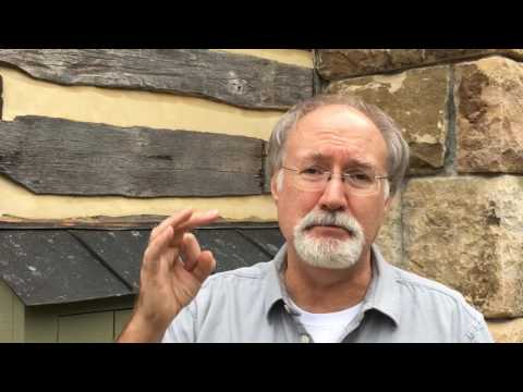 Log cabin project - which log species is best?