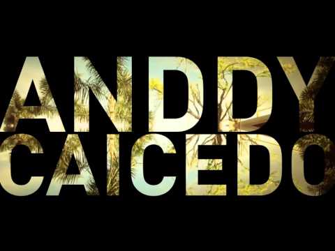 ANDDY CAICEDO - BUSCANDO UN AMOR ft JUNIOR JEIN  - LYRICS