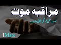 Muraqaba E Maut By Mufti Taqi Usmani Mout Bayan Mufti Taqi Usmani Sahib Mufti Taqi Usmani Bayan