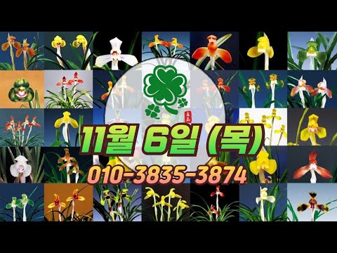 유튜브 썸네일
