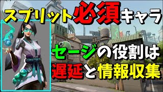 【VALORANT】スプリットのセージは壁を立て、味方の後ろを付いていくだけじゃない【ヴァロラント】