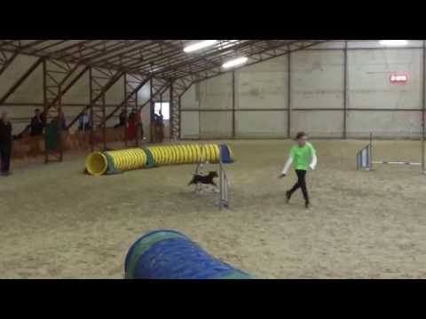 Kraft Agility Kupa Kezdő 3.hely