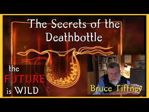 Bruce erklärt die tödliche Flaschenfalle: Die Zukunft ist wild