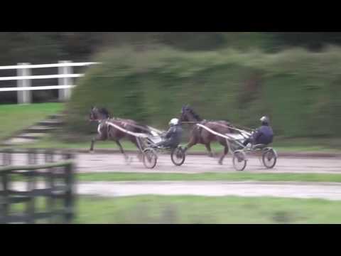 Edel de Vandel et Elicatte de Viette