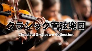 Download lagu 【フィルハーモニー管弦楽団#2】自宅で聴けるフィルハーモニー管弦楽団 贅沢な気分を味わえるクラシックオーケストラ集 mp3 Download lagu 【フィルハーモニー管弦楽団#2】自宅で聴けるフィルハーモニー管弦楽団 贅沢な気分を味わえるクラシックオーケストラ集 mp3