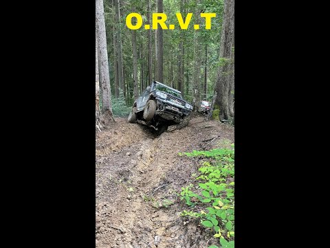 Pajiștea-Coșnea -Pajistea (Bacau) 2021