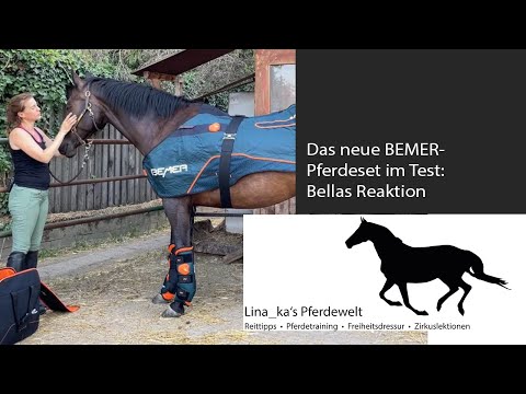 Das neue BEMER-Pferdeset im Test: Bella's Reaktion