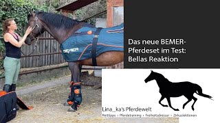 Das neue BEMER-Pferdeset im Test: Bella's Reaktion