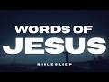 Fall Asleep To The Words Of Jesus Peaceful Bible Reading For Deep Sleep Anxiety Relief