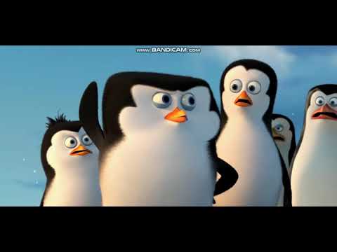 QEFS LAVA PINGVINNER