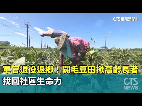 軍官退役返鄉！闢毛豆田揪高齡長者　找回社區生命力