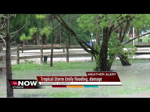 Tropical Storm Emily flooding, damage in Sarasota County
