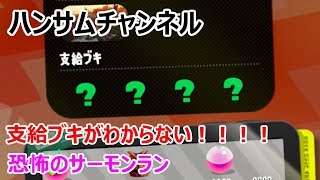 支給ブキがわからない恐怖のサーモンラン！スプラトゥーン２：ハンサムチャンネル