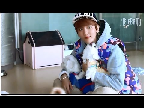 140105 EXO Baekhyun The Celebrity