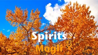 Spirits Music Video