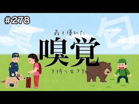 最高の嗅覚を持つ動物