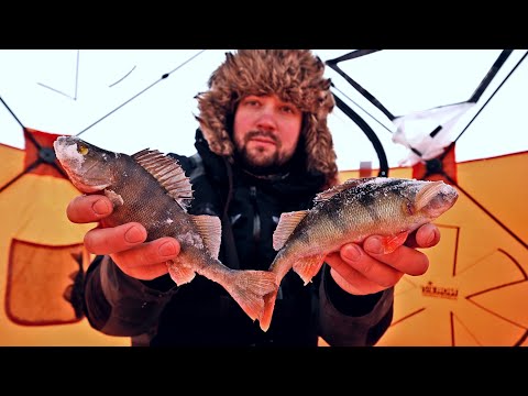 AHVENPAIKKOJA ETSIMÄSSÄ - PILKKITELTASSA PÄRJÄÄ KOVALLA TUULELLA