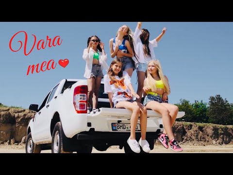 LP Project - Vara mea