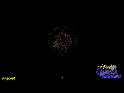 4" Wizard Deluxe Assortment [1.3g] (Casabella Demo 2018)