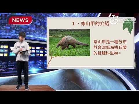 國小高年級中文組 潛力獎 -2025六福永續獎: 最佳人氣影片