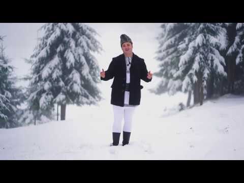 Liviu Dascal - Vino vino Craciun drag