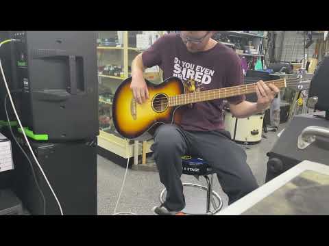 Breedlove Discovery S Concert Bass CE 2021 - Present - Edgeburst image 12