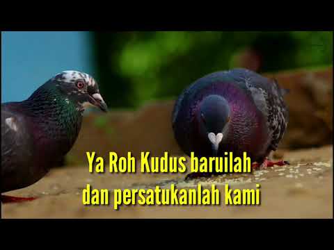 Nyanyian GPM 142 _ Ya Roh Kudus baruilah dan persatukanlah kami & NKB 199