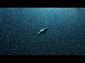 Videon - Leaving You Behind