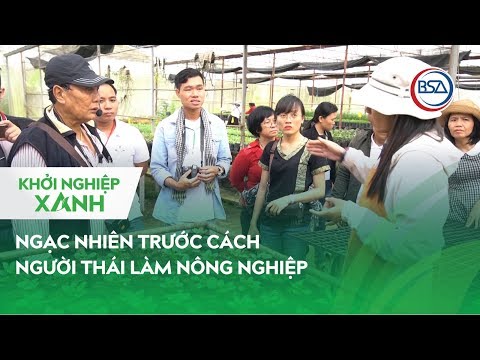 Ngạc nhiên trước cách người Thái làm nông nghiệp | Khởi Nghiệp Xanh