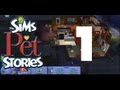 Lets Play: The Sims Pets Stories [S2] - Part.1 - (Meet ...