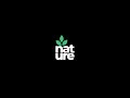 Custom Logo Animation In After Effects Nature Leaf Animation After Effects Tutorial