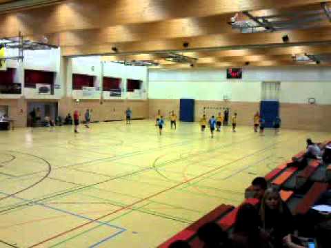 TV Neckargemünd - TSV Wieblingen (Sa., 19.11.2011, Heimspiel)