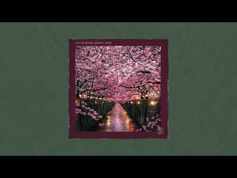 LoFi Blossom Sample Pack - Preview