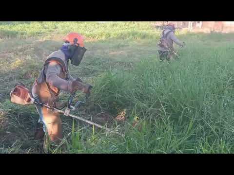 nilton roçada Maringa e região 44999321891 orçamento sem compromisso(roçada feita em Mandaguaçu PR)