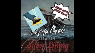 *Kick Cam* &quot;Silver Lining&quot; Color Morale Drum Cover