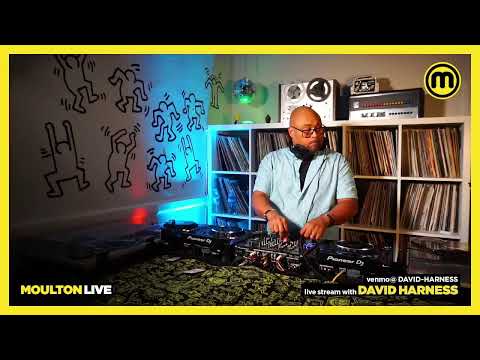 David Harness Moulton Live 11.19.21