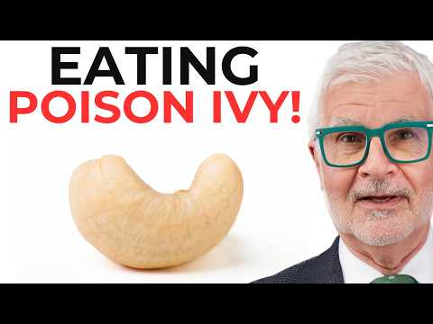 The Secret About CASHEWS Nobody Tells You About | Dr. Gundry