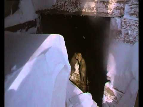 Zapada in Florica 2012